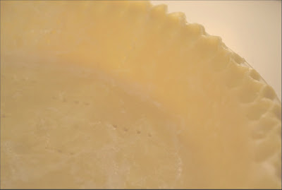 Homemade Pie Crust