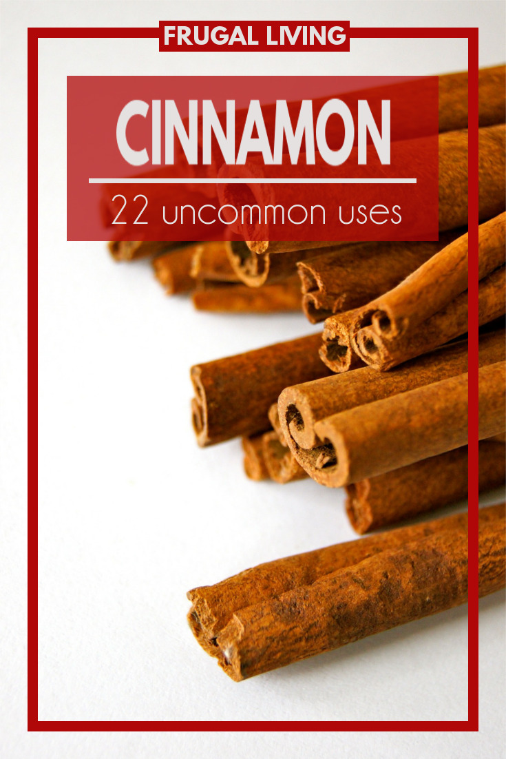 Cinnamon is for more than just adding to your favorite dessert recipes, it can be used to heal ailments, clear blemishes and so much more.