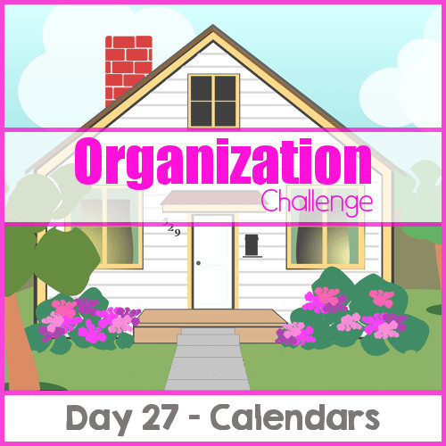 Home Organization Challenge