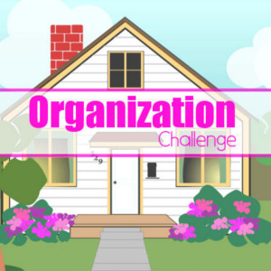 Home Organization Challenge