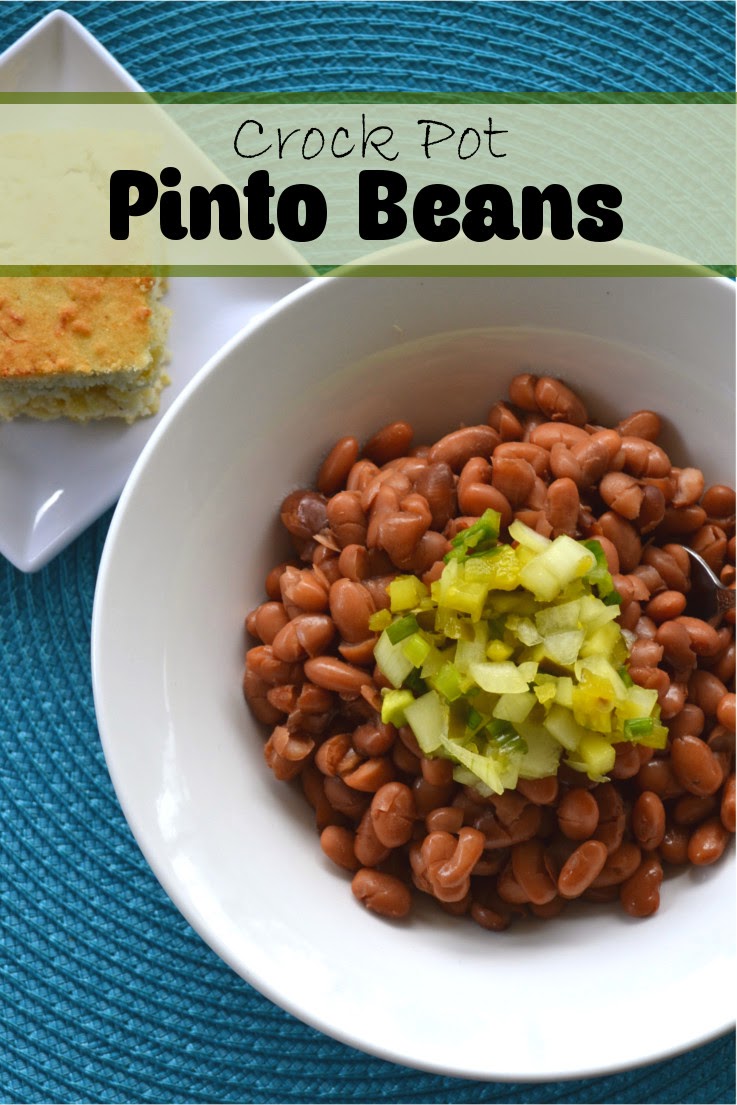 Simple Slow Cooked Pinto Beans (Feed 4 for $0.25) | Fluster Buster