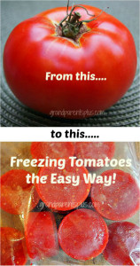 Great Ideas