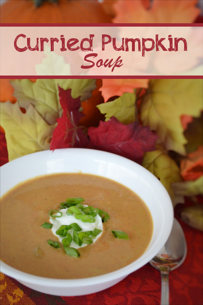 Curried Pumpkin Soup Recipe | Fluster Buster