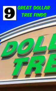 Great Ideas - 9 Great Dollar Tree Finds from Living on Cloud Nine