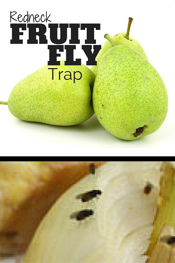 There is a faster way to get rid of fruit flies then waiting around for them to crawl into some small holes that you've pierced into some plastic wrap.