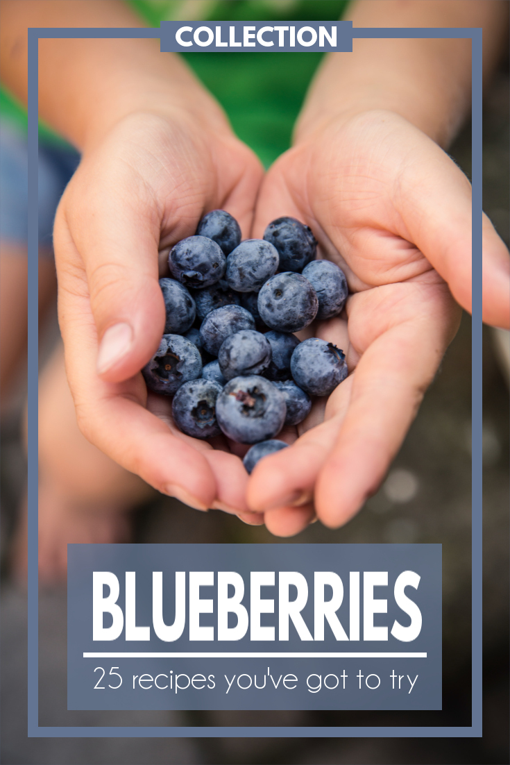 25 Blueberry Recipes You'll Want to Try | Fluster Buster