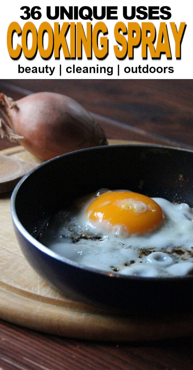 36 Clever Uses for Cooking Spray Fluster Buster