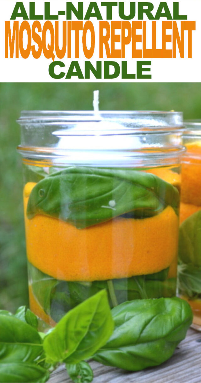 DIY AllNatural Mosquito Repellent Candles Fluster Buster