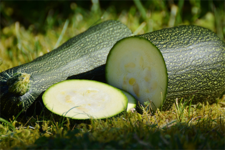 If you're choosing to eat healthy, you'll want to check out this collection of delicious zucchini side dish recipes