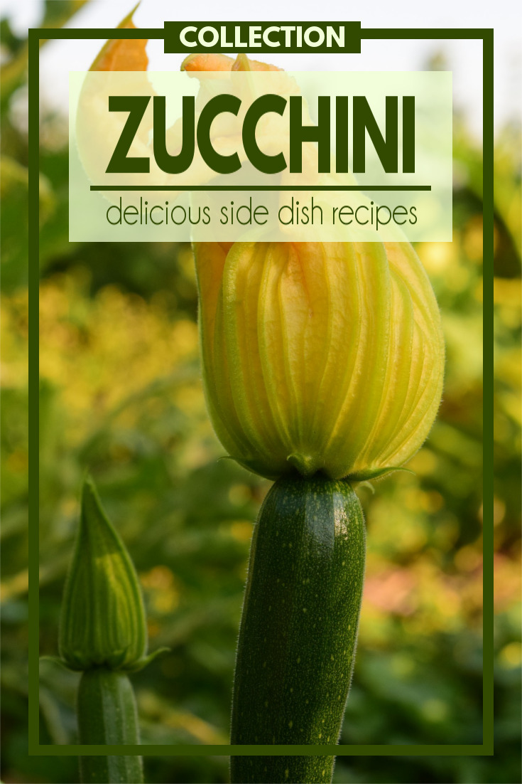 If you're choosing to eat healthy, you'll want to check out this collection of delicious zucchini side dish recipes