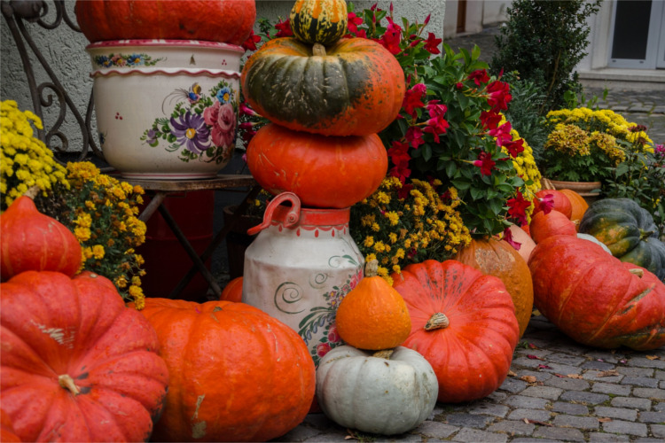 Helpful Tips for Picking the Perfect Pumpkin