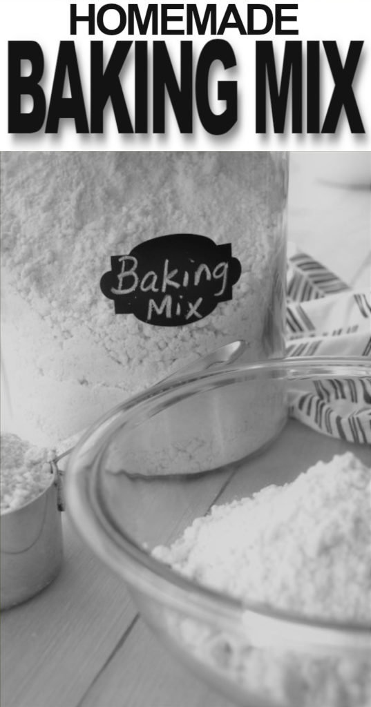 AllPurpose Baking Mix How to Make Your Own Fluster Buster