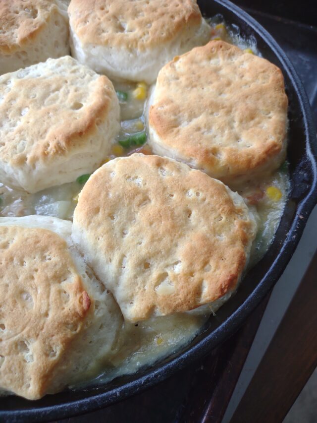Cast Iron Chicken Pot Pie Fluster Buster